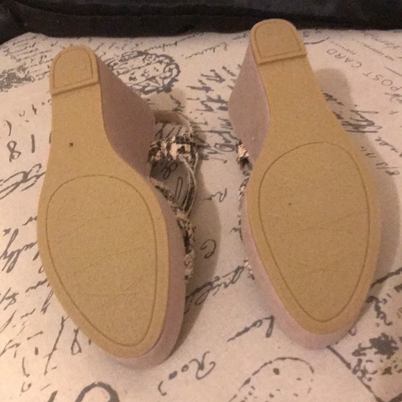 Accessories - Picture 5 of 5